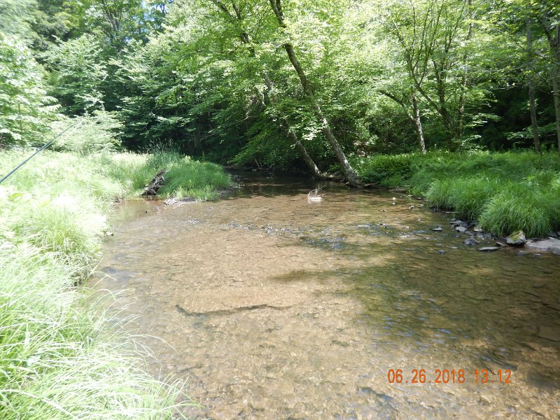 -Kettle Valley-135-.jpg - Got one from the run on the left side of the stream.